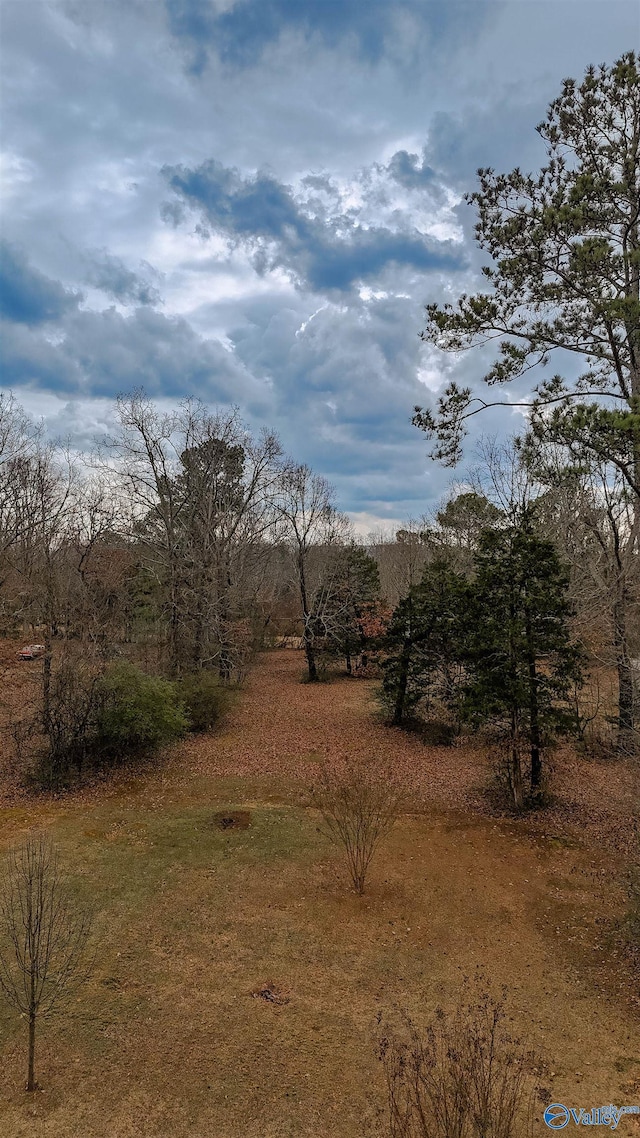 6670 Moores Mill Rd, Huntsville, AL 35811 - view of nature
