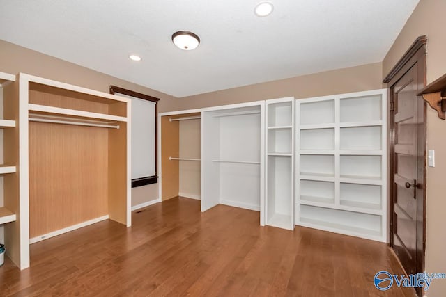 spacious closet featuring dark wood-type flooring