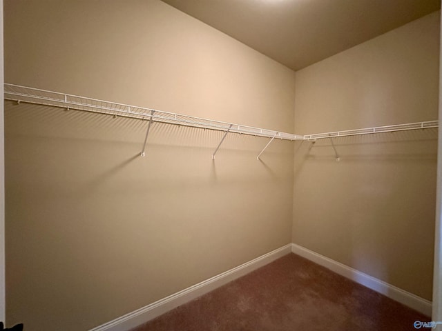 walk in closet featuring carpet