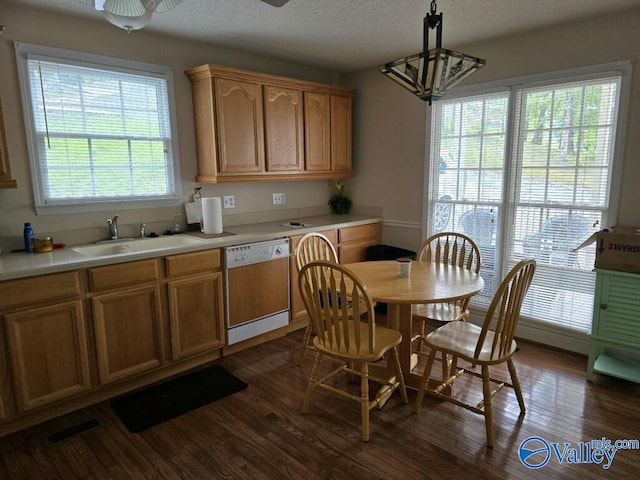 interior space with sink, dark hardwood / wood-style flooring, and a healthy amount of sunlight