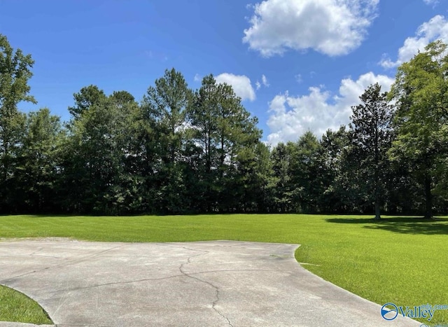 view of community featuring a lawn