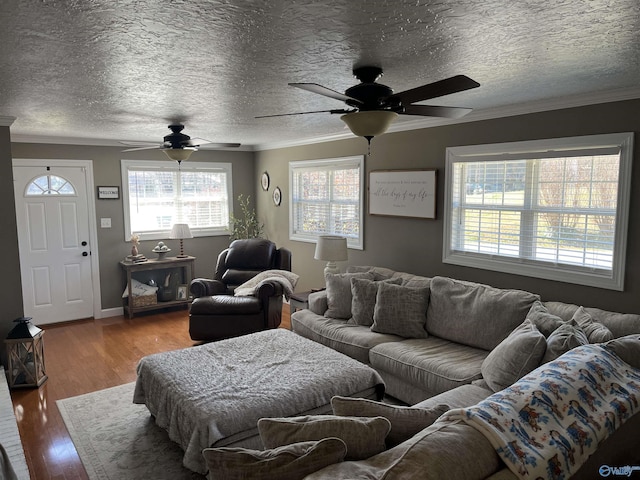 living room with a textured ceiling, ornamental molding, and hardwood / wood-style floors