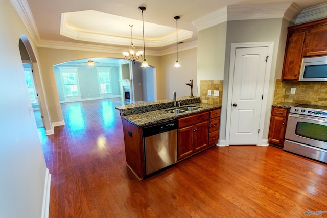 kitchen with backsplash, sink, a tray ceiling, appliances with stainless steel finishes, and dark stone counters