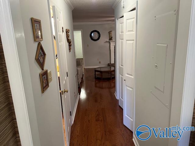 corridor featuring electric panel, crown molding, dark hardwood / wood-style flooring, and a textured ceiling