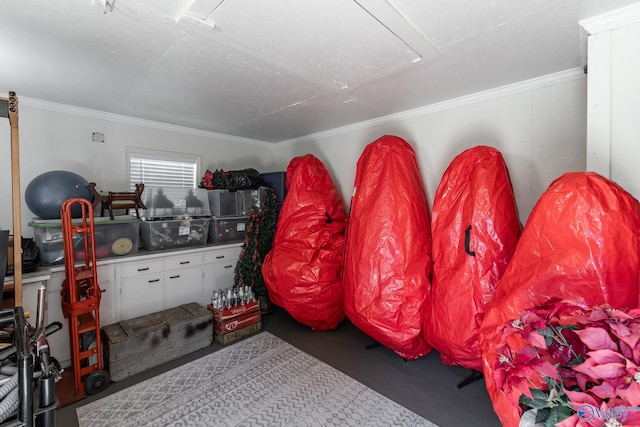 406 Zandale Dr SW, Huntsville, AL 35801 - view of storage area