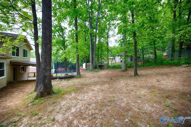 view of yard with a trampoline