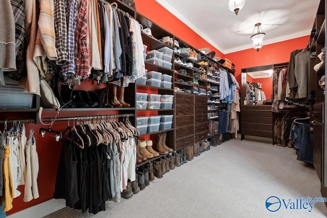 spacious closet with carpet floors