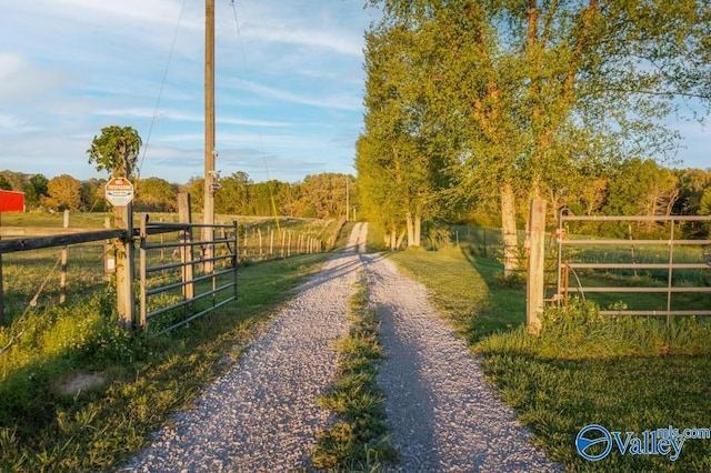 view of road with a rural view, a gated entry, and a gate