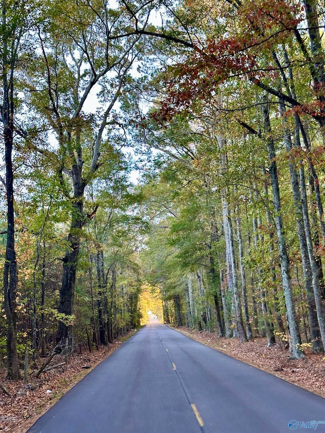 view of road