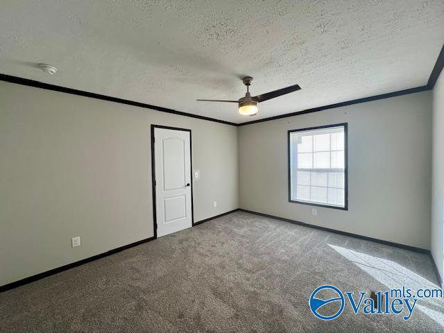 spare room with carpet flooring, a textured ceiling, ceiling fan, and crown molding