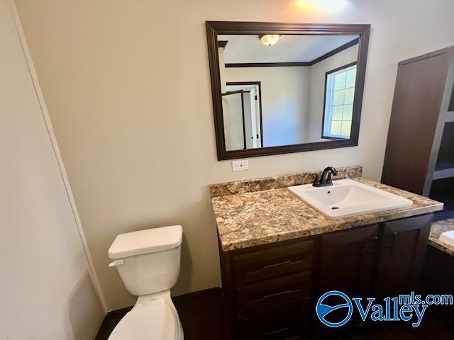 bathroom featuring crown molding, vanity, and toilet