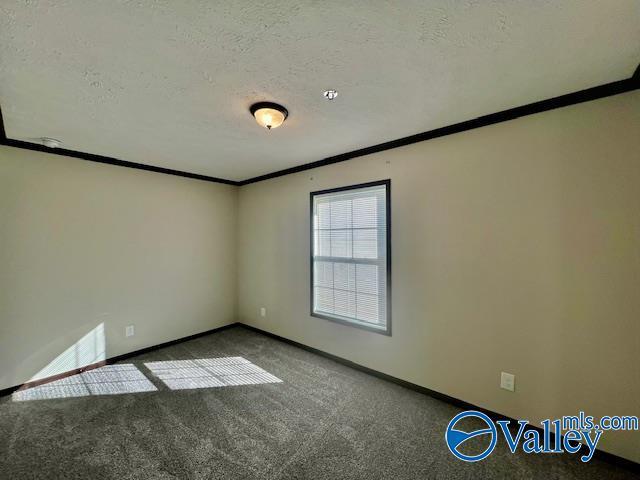 carpeted empty room featuring a textured ceiling and crown molding