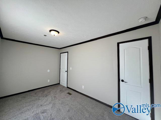 spare room featuring light carpet, crown molding, and a textured ceiling