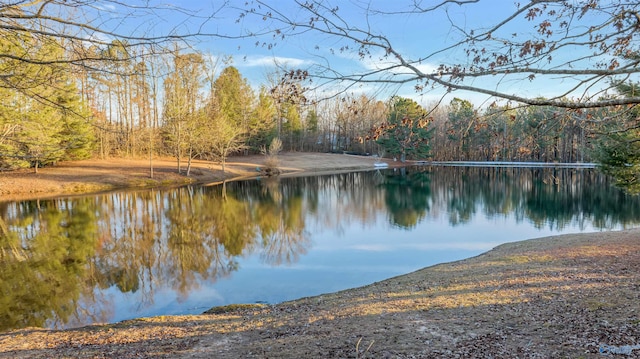 view of water feature