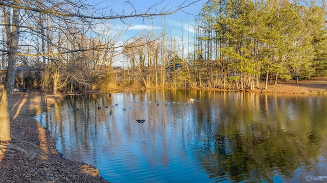 property view of water