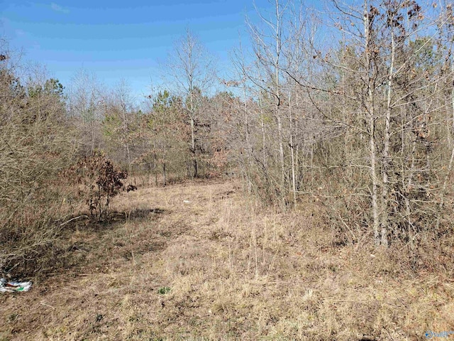 view of landscape featuring a forest view