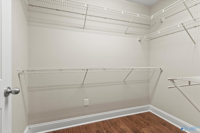 spacious closet featuring wood-type flooring