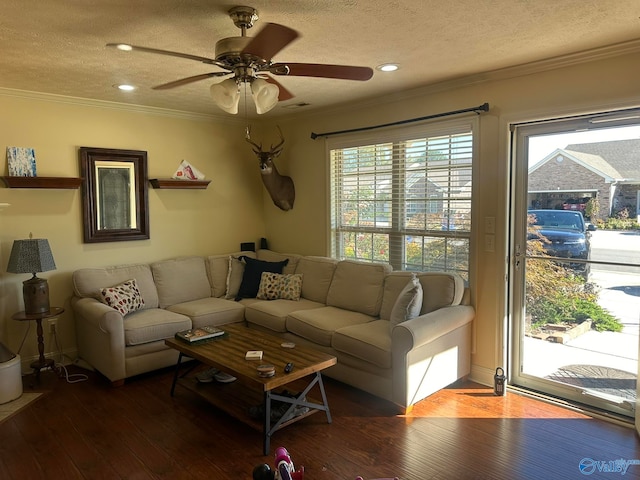 living room featuring hardwood / wood-style flooring, a textured ceiling, ceiling fan, and ornamental molding