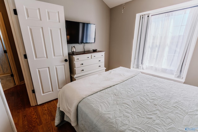 bedroom featuring dark hardwood / wood-style floors and multiple windows