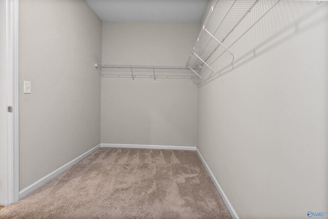 bathroom featuring hardwood / wood-style flooring and double vanity