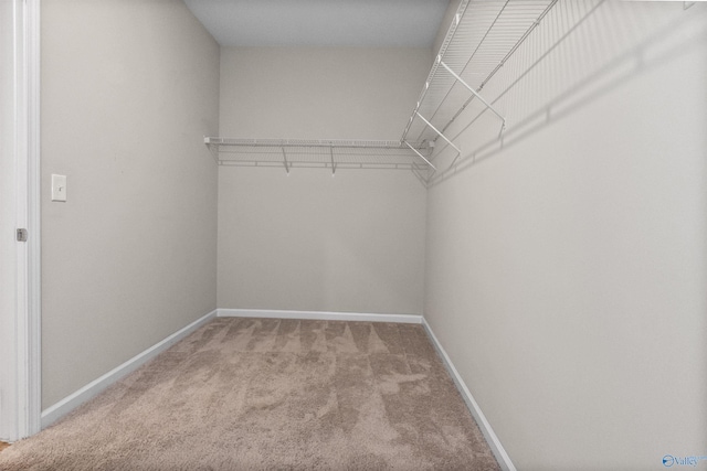 walk in closet featuring light colored carpet