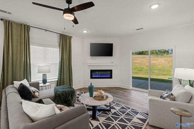 living room with hardwood / wood-style flooring and ceiling fan