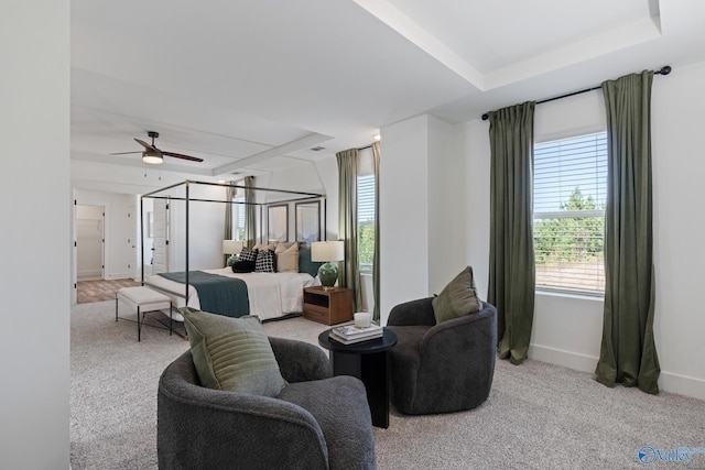 carpeted bedroom with a raised ceiling