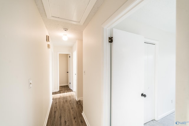 hall with wood-type flooring and a textured ceiling