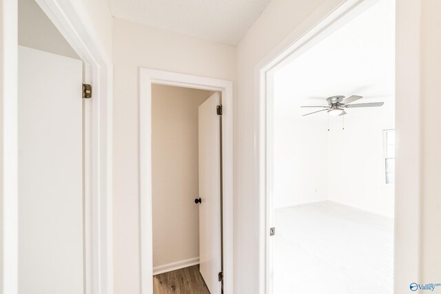 hallway with wood-type flooring