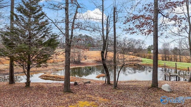 view of water feature