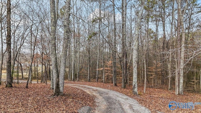 view of road