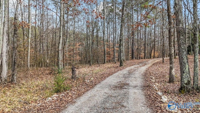 view of road