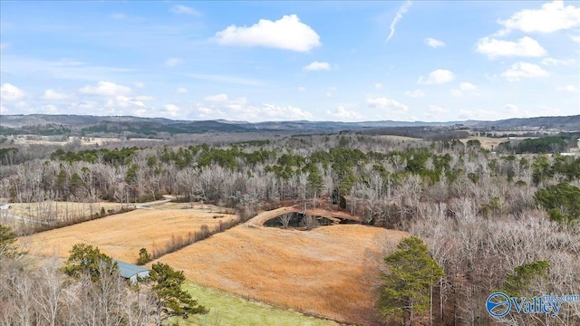 drone / aerial view featuring a mountain view