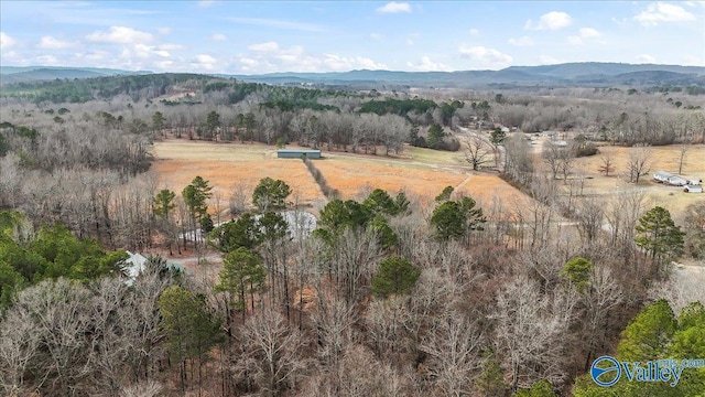 drone / aerial view featuring a mountain view and a rural view