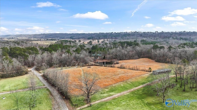 drone / aerial view featuring a rural view