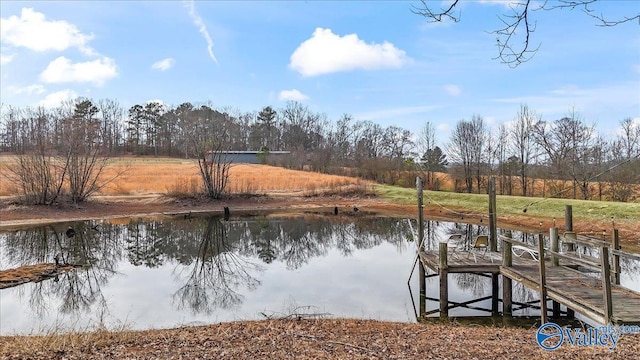 dock area with a water view