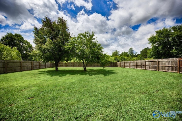 27586 Phillip Wagnon Dr, Athens, AL 35613 - view of yard