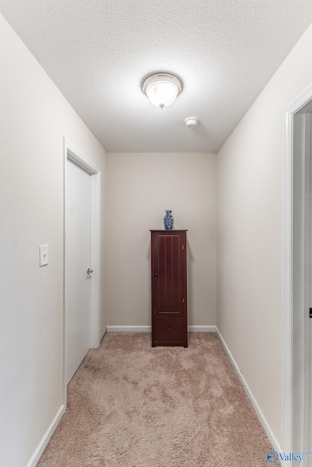 empty room featuring light carpet and a textured ceiling