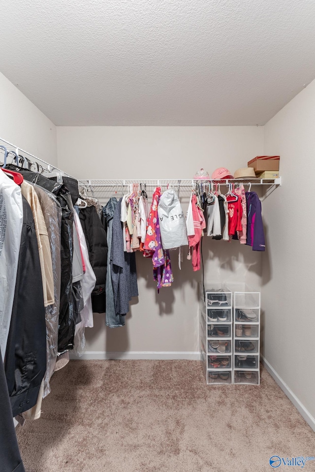 walk in closet featuring carpet flooring