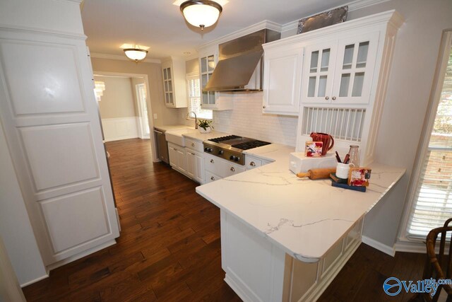 kitchen with dark wood-type flooring, stainless steel appliances, light stone countertops, and white cabinetry