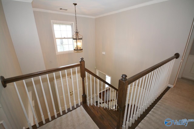 stairway with ornamental molding and carpet flooring