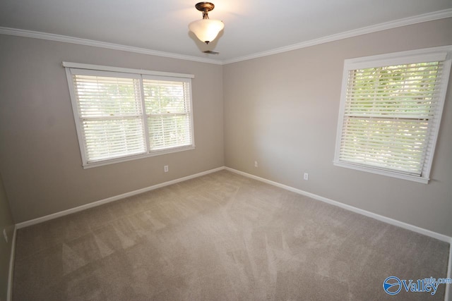 carpeted spare room featuring ornamental molding