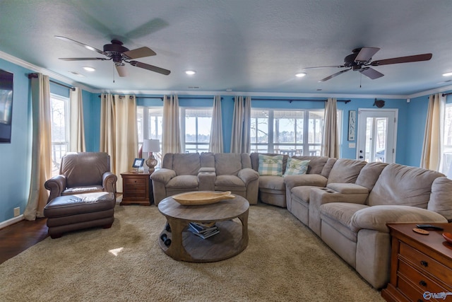 living room featuring ceiling fan, plenty of natural light, and ornamental molding