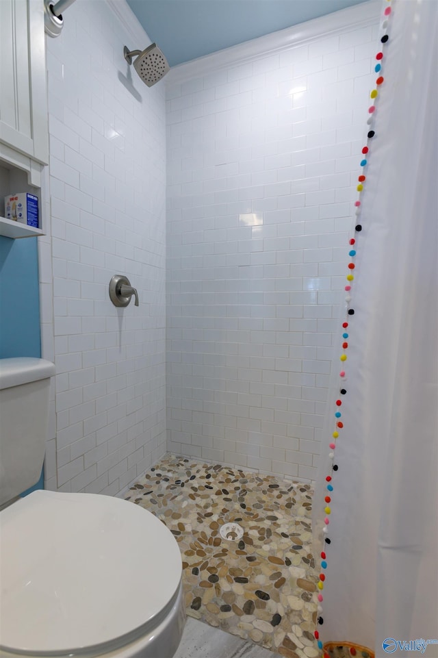 bathroom with toilet and a shower with curtain