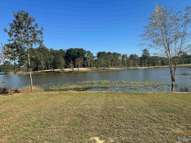 44 County Road 115, Cedar Bluff AL, 35959 land for sale