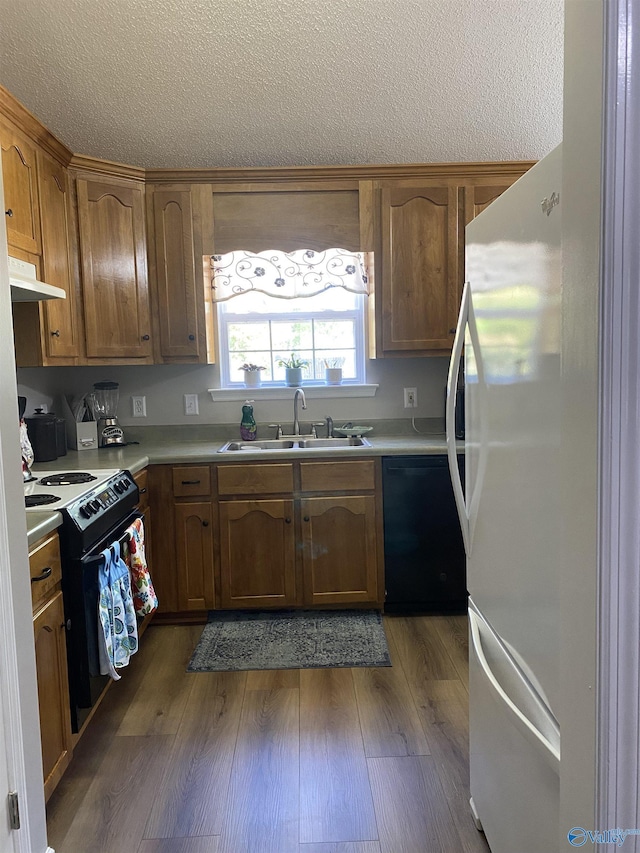 kitchen featuring electric range oven, black dishwasher, a sink, light countertops, and freestanding refrigerator