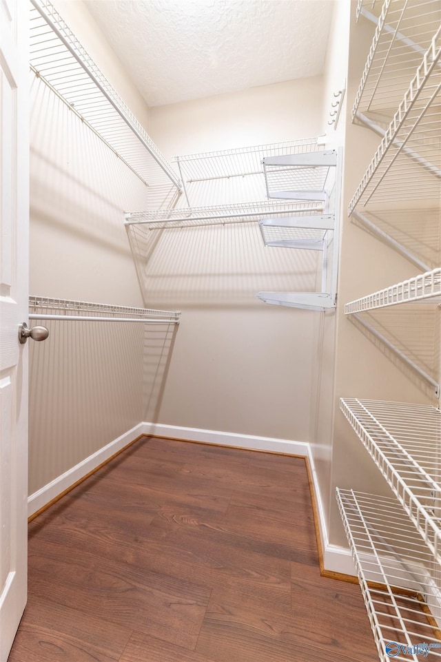 2115 James Dr, Southside, AL 35907 - spacious closet with wood finished floors