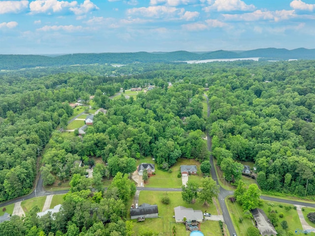 2115 James Dr, Southside, AL 35907 - bird's eye view of a forest and mountains