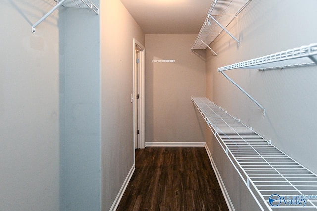 walk in closet with wood finished floors