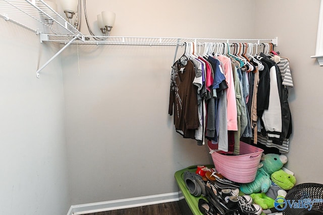 spacious closet featuring wood finished floors